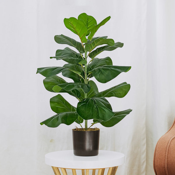 Primrue 30'' Artificial Faux Fiddle Leaf Fig Tree In Pot & Reviews
